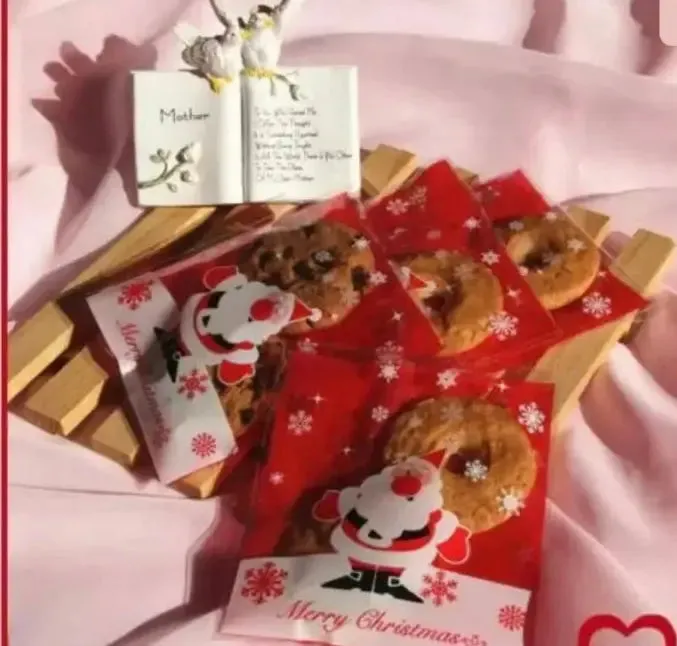 Christmas Gift Bag Cookie Candy Bag x10 pcs