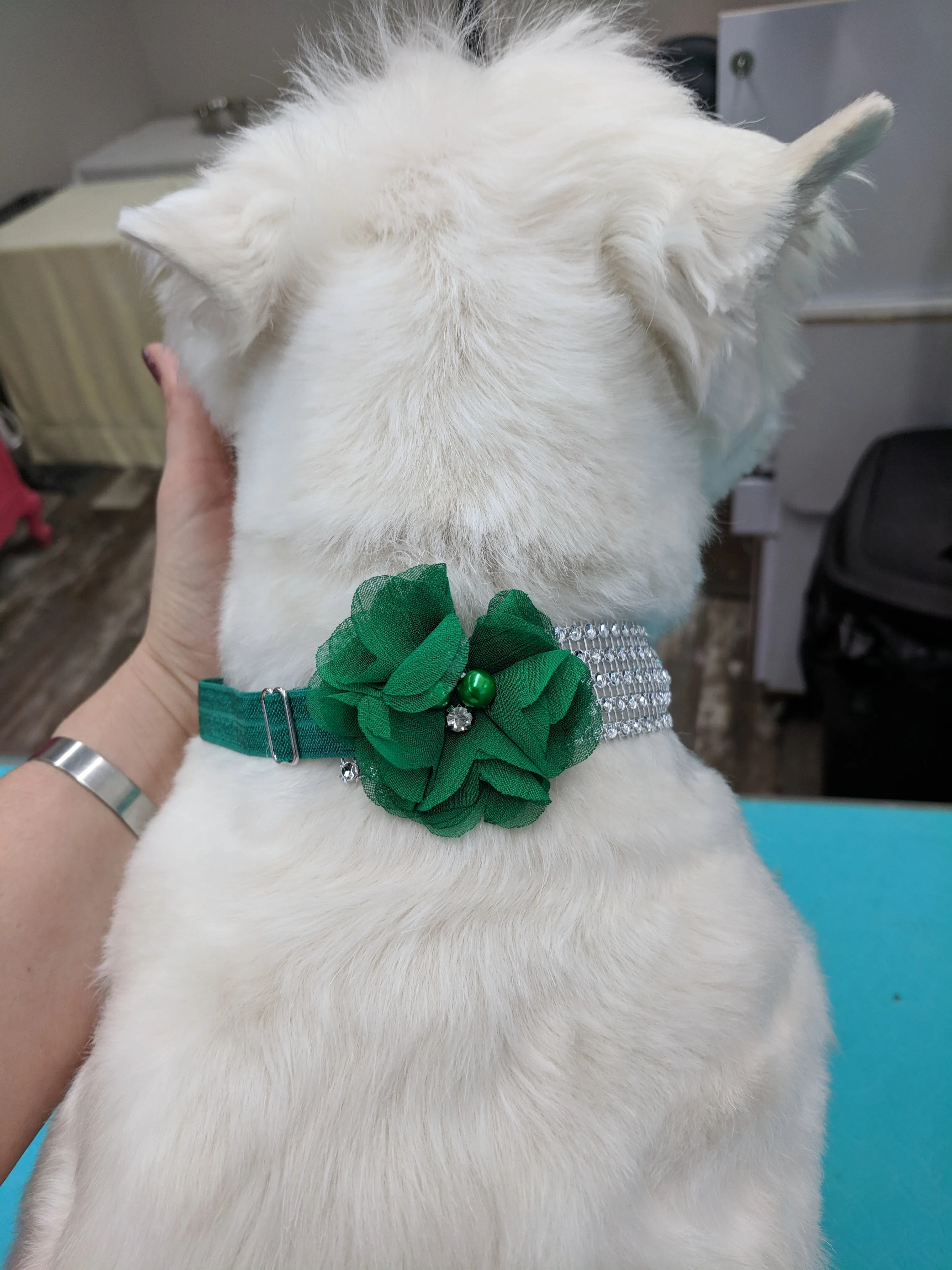 Holiday Sparkle wrap collars